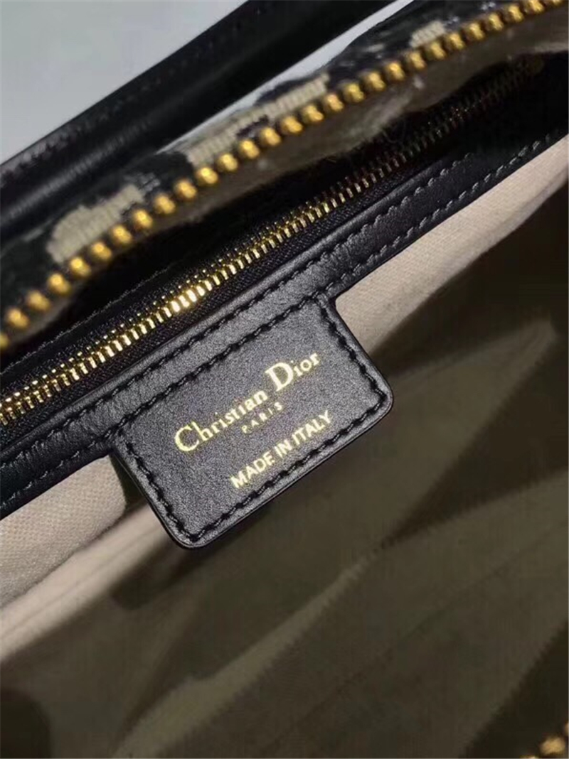 Dior經典款 迪奧枕頭包 Dior oblique 迪奧手提包 Dior時尚休閑女包