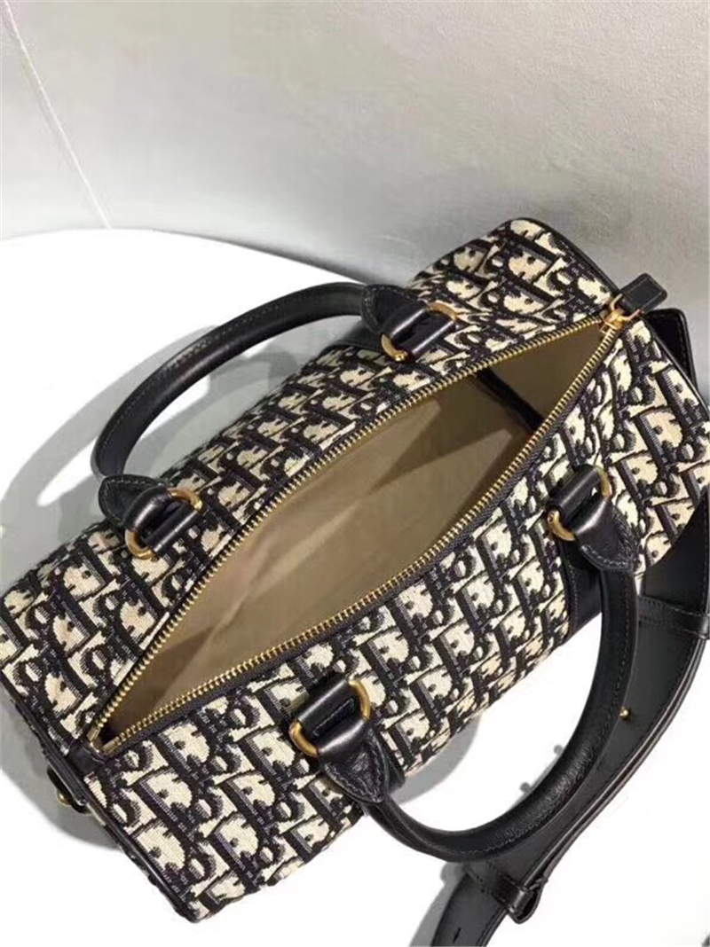 Dior經典款 迪奧枕頭包 Dior oblique 迪奧手提包 Dior時尚休閑女包