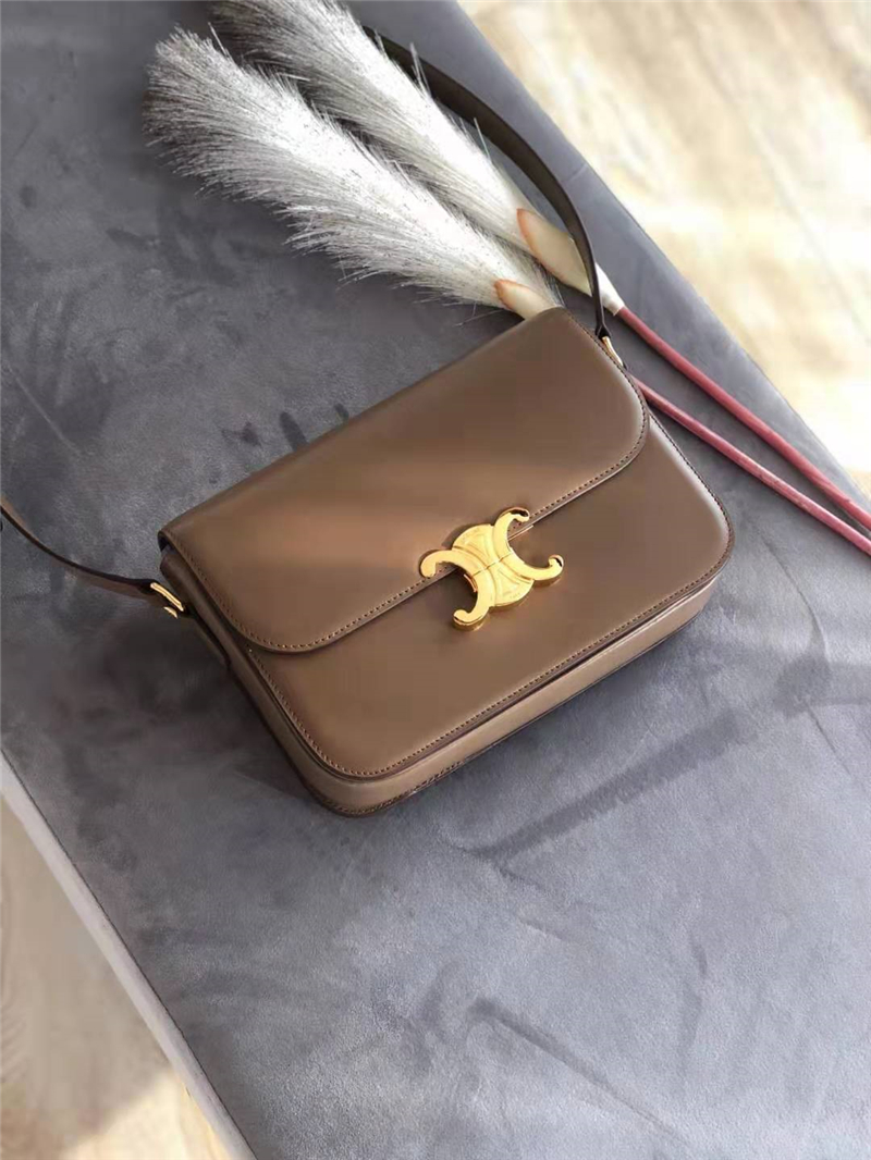 celine包包 賽琳女包 Triomphe系列 倒雙C黃銅鎖 中號(hào)