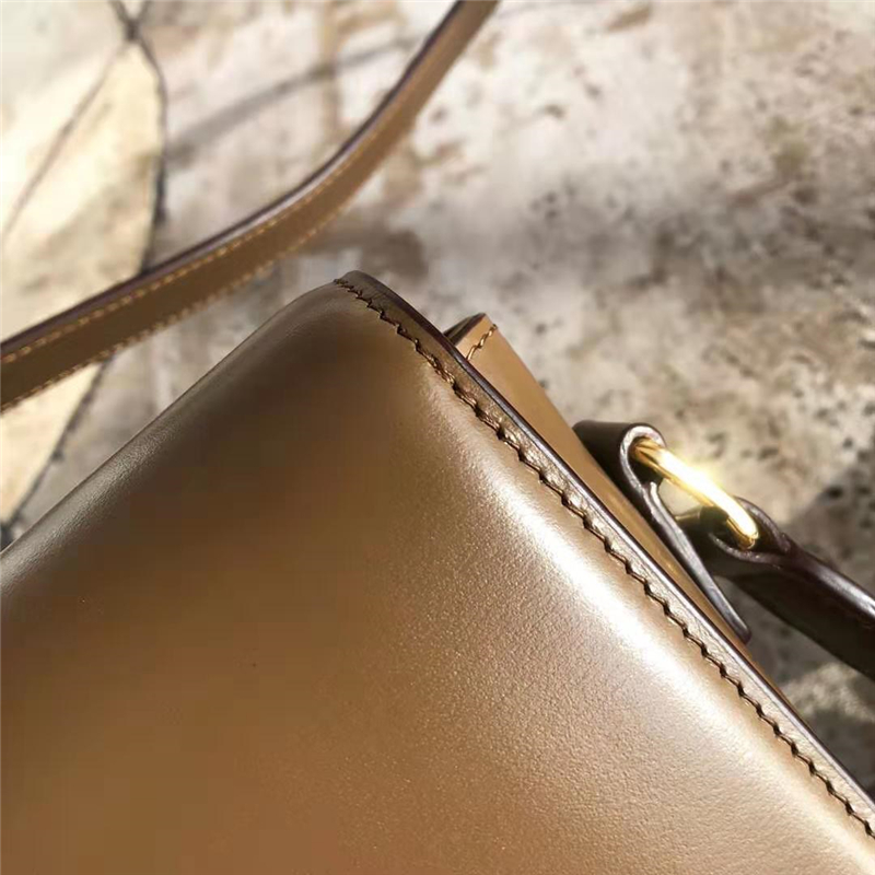 celine包包 賽琳女包 Triomphe系列 倒雙C黃銅鎖 中號(hào)