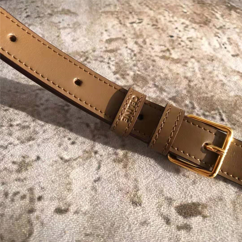 celine包包 賽琳女包 Triomphe系列 倒雙C黃銅鎖 中號(hào)