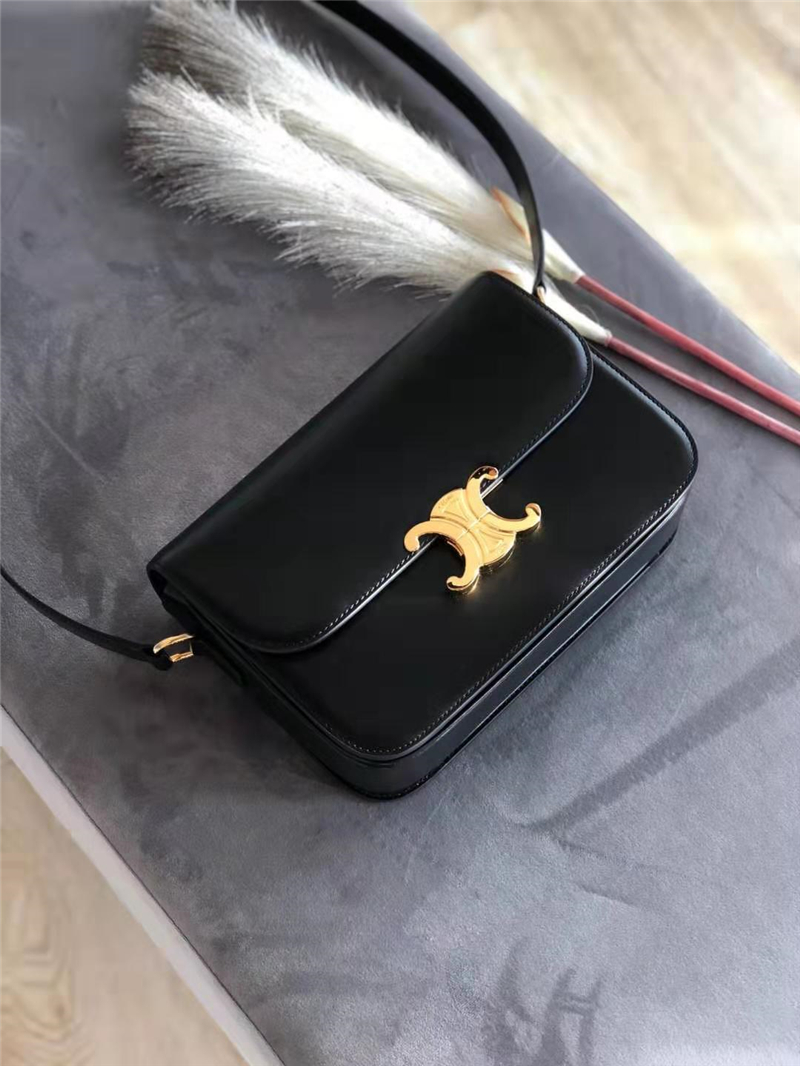 celine包包 賽琳女包 Triomphe系列 倒雙C黃銅鎖 中號