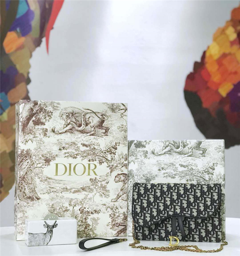 M5620 Dior Oblique女包 提花帆布 迪奧鏈條包 Dior手拿包 灰黑色