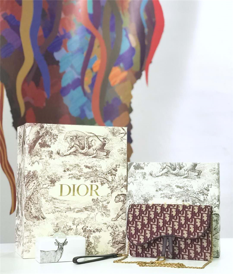 M5620 Dior Oblique女包 提花帆布 迪奧鏈條包 Dior手拿包 酒紅色