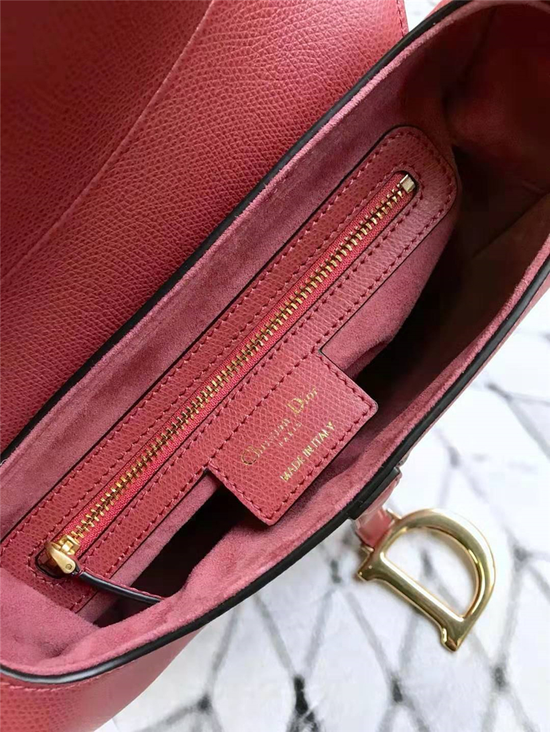 M0446 Dior Saddle小牛皮手提包 Dior馬鞍包 Dior女包 蜜桃色