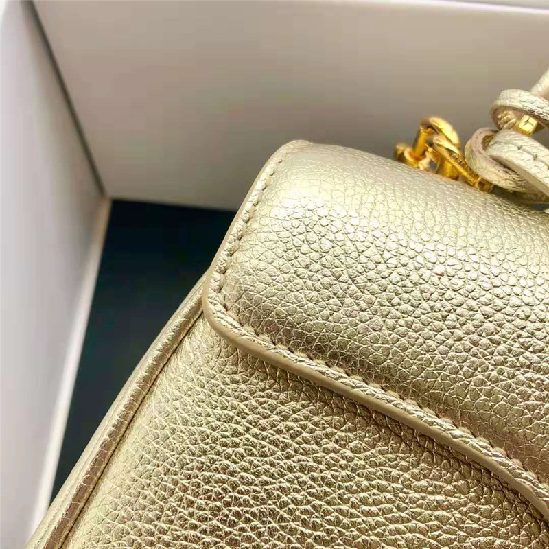 188003 Celine包包 賽琳女包 19新款 金屬鎖扣 小號小牛皮包 Celine手提包女包 金色