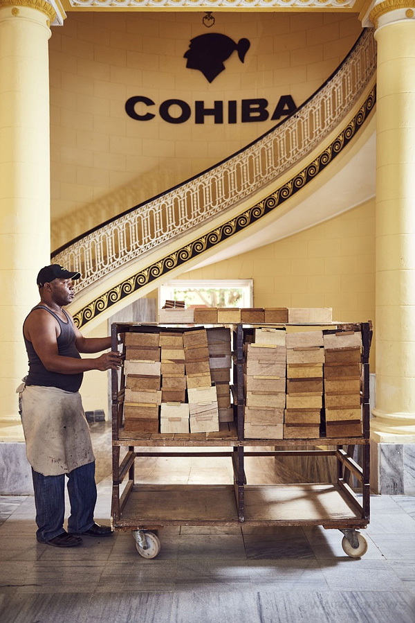 真力時發布高斯巴雪茄50周年特別款腕表