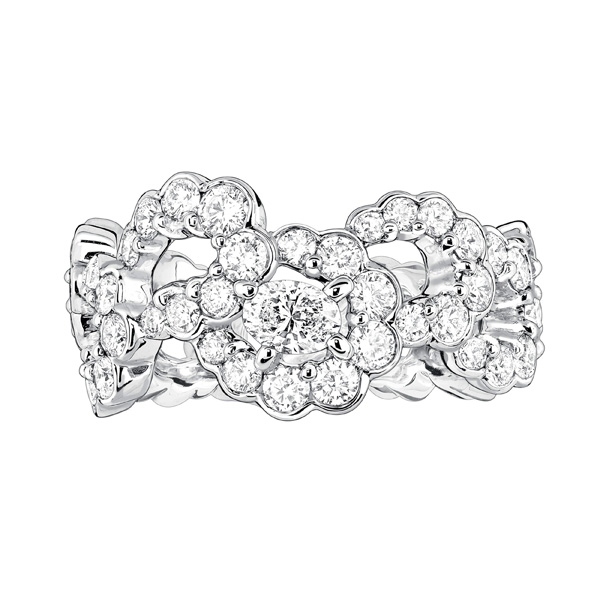 ϊWƳȫArchi Diorϵ錚