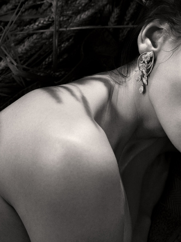 ΃ȫLes Bles de CHANELϵƷ錚