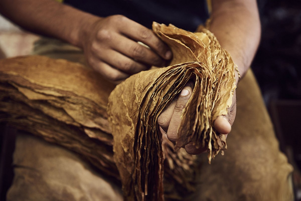 真力時發布高斯巴雪茄50周年特別款腕表