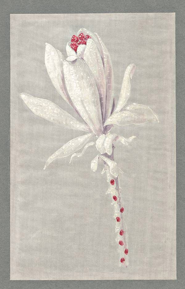 lLa Nature de CHAUMET ߶錚