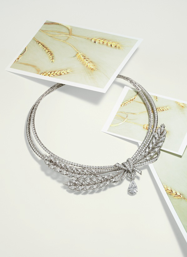 lLa Nature de CHAUMET ߶錚